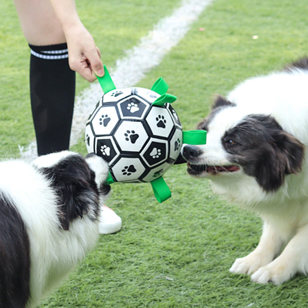 Soccer Ball For Dog